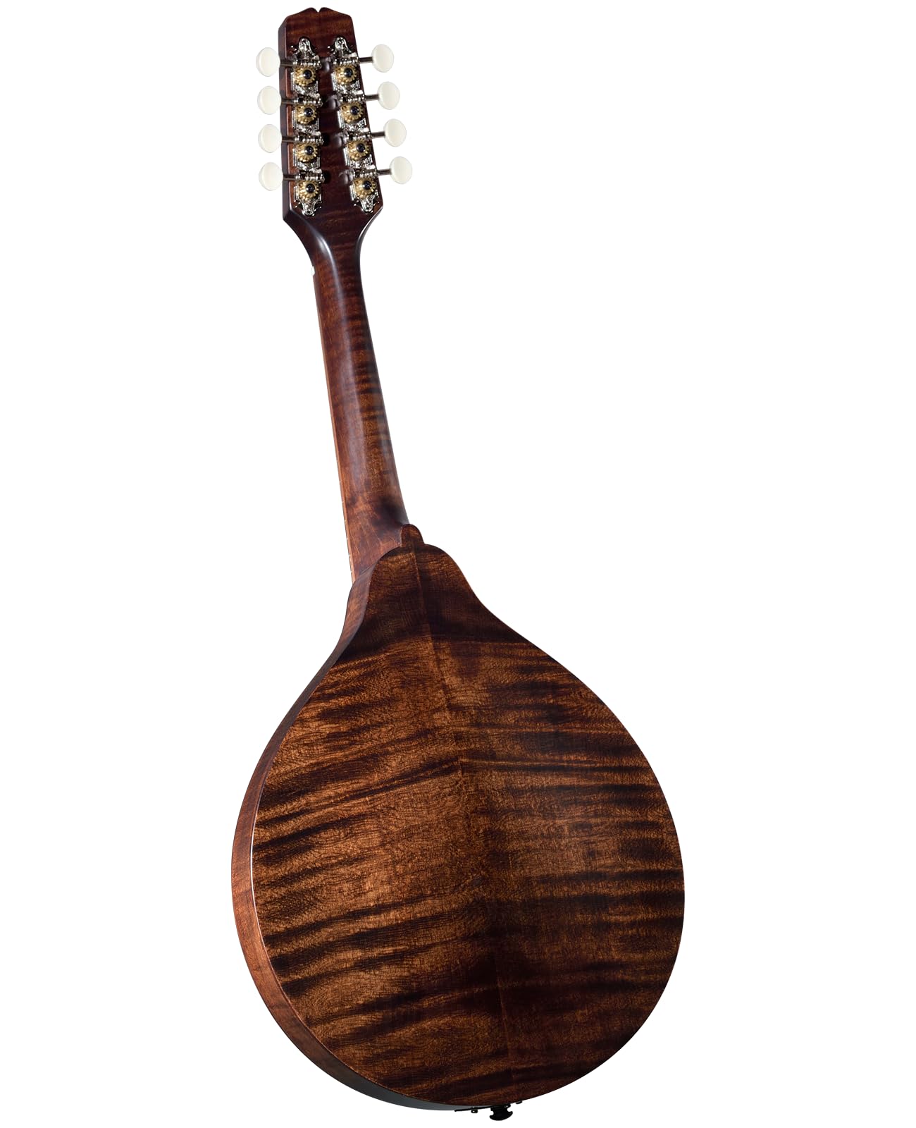 Amazon.com: Kentucky KM-206 Deluxe A-Model Mandolin – Satin Brown